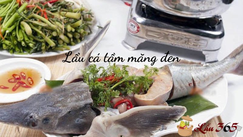 Lẩu cá tầm măng đen